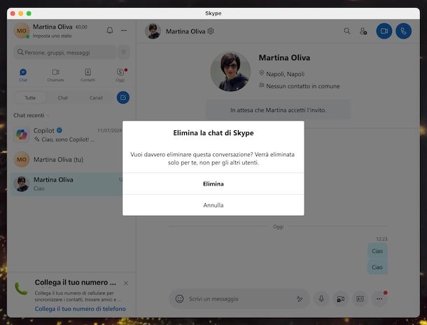 Skype macOS