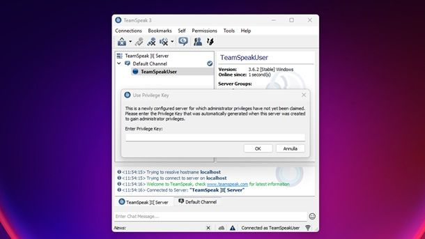 Server TeamSpeak 3 attivo Windows 11