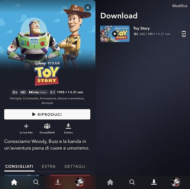 Disney+ Download app