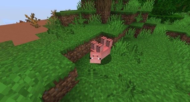 Targhetta Minecraft: segreti