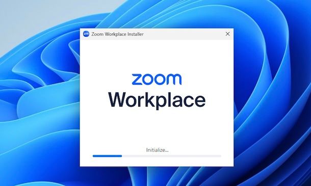 Zoom Windows