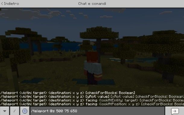 Come teletrasportarsi in Minecraft con le coordinate