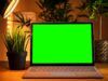 Schermo verde PC Windows: le soluzioni