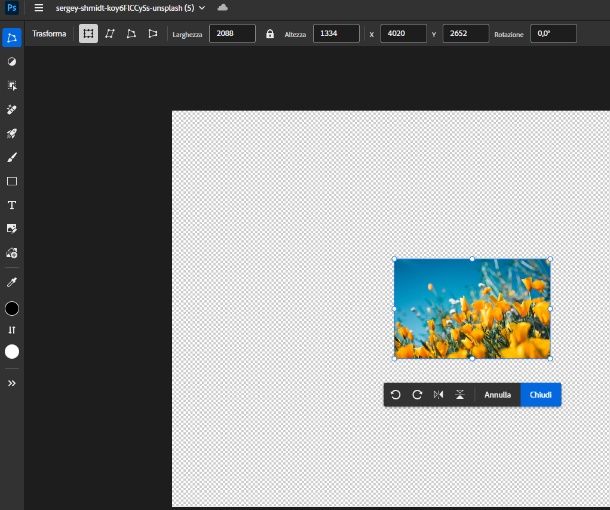 Photoshop Online — Ritaglio