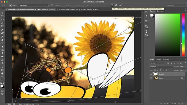 Ridimensionare un'immagine incollata in Photoshop 