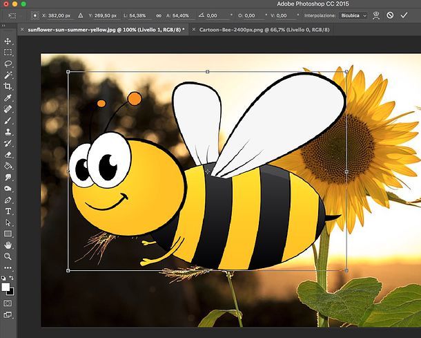 Ridimensionare un'immagine incollata in Photoshop 