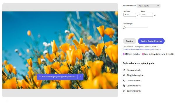 Ridimensiona su Adobe Express online