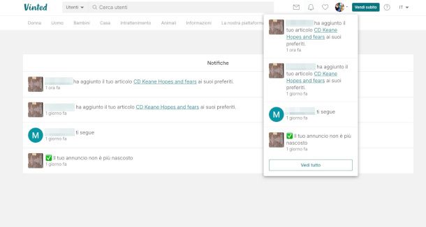Area notifiche sito Vinted