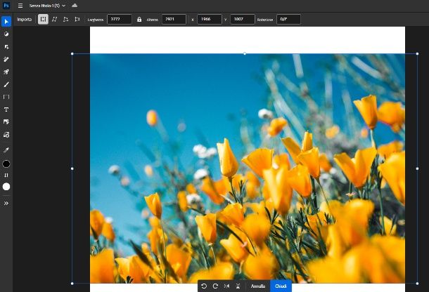 ridimensiona su Photoshop online