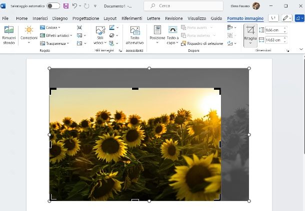 Ritagliare immagine word da pc