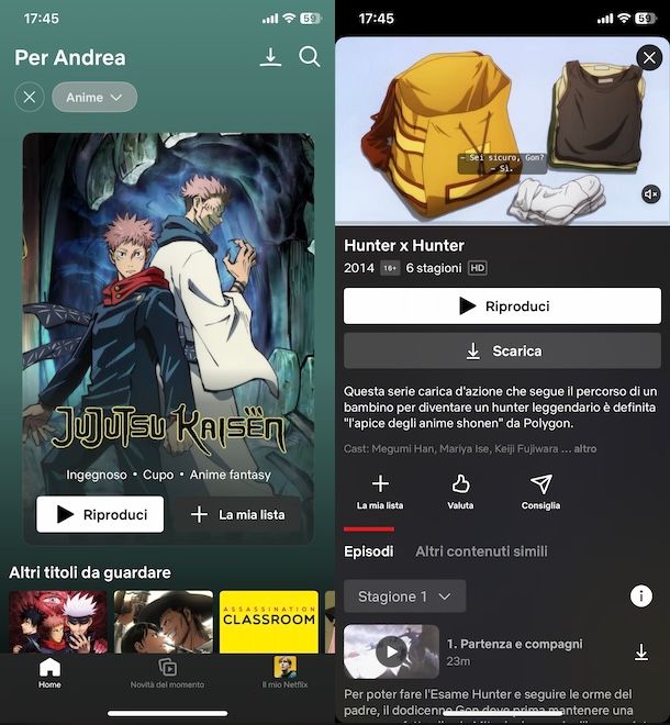 Anime su Netflix