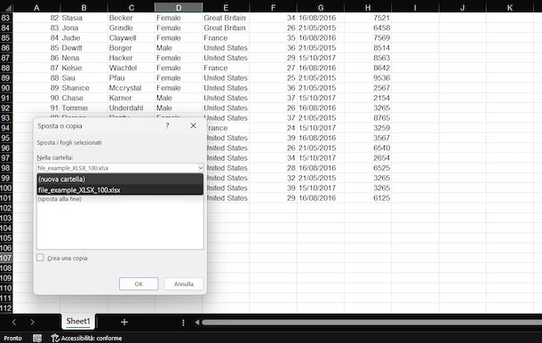 Copiare foglio Excel su altro file Excel Windows