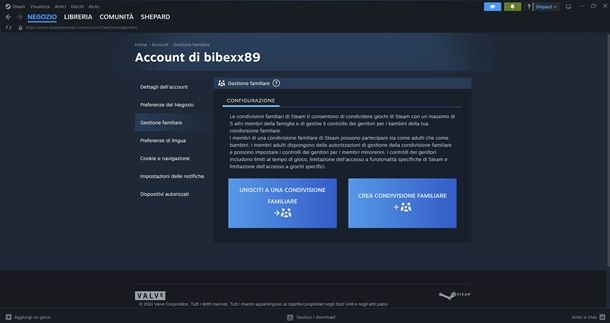 gestione famigliare steam