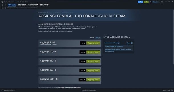 steam portafoglio