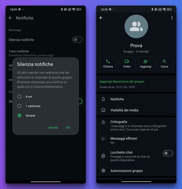 Disattivare notifiche chiamate gruppo WhatsApp Android