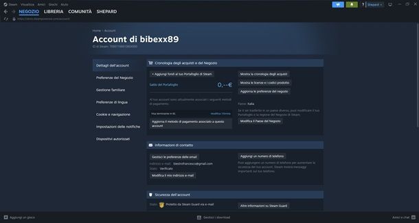 dettagli account steam