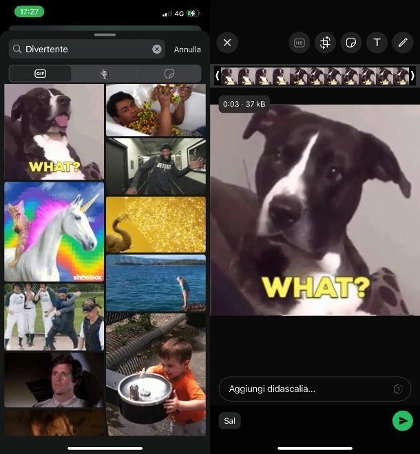 WhatsApp GIF