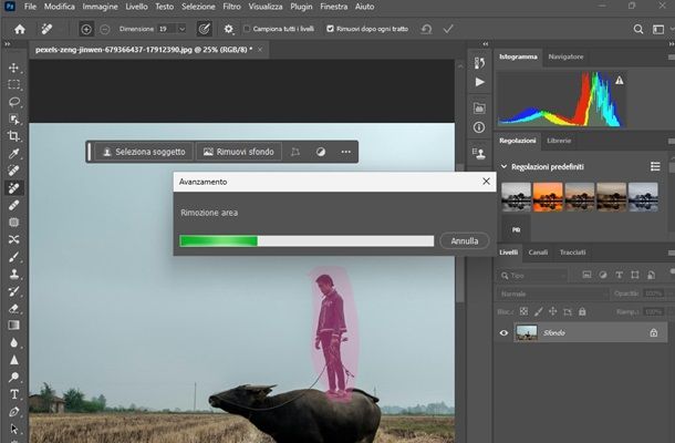 photoshop rimuovere