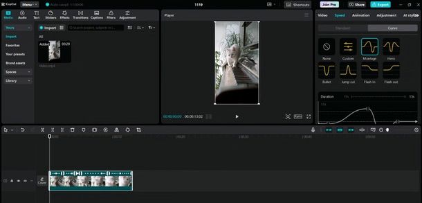 Come velocizzare curve video CapCut PC 