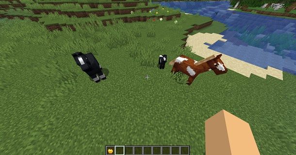 Come far accoppiare i cavalli su Minecraft