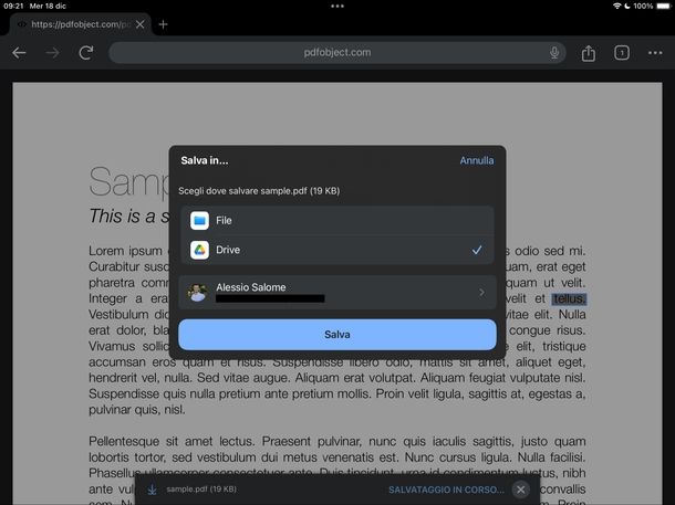 Salvare PDF Chrome iPad