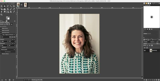 selezione volto GIMP