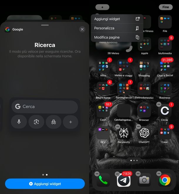 Widget ricerca Google iPhone