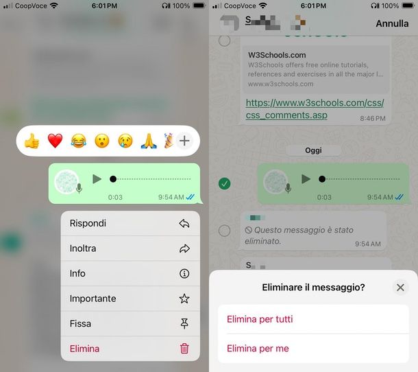 come cancellare audio WhatsApp iPhone