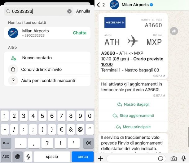 come tracciare un volo su WhatsApp chatbot