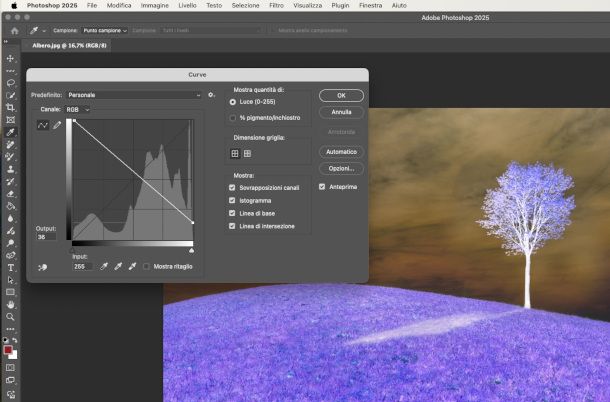 regolazione curve di colore Photoshop
