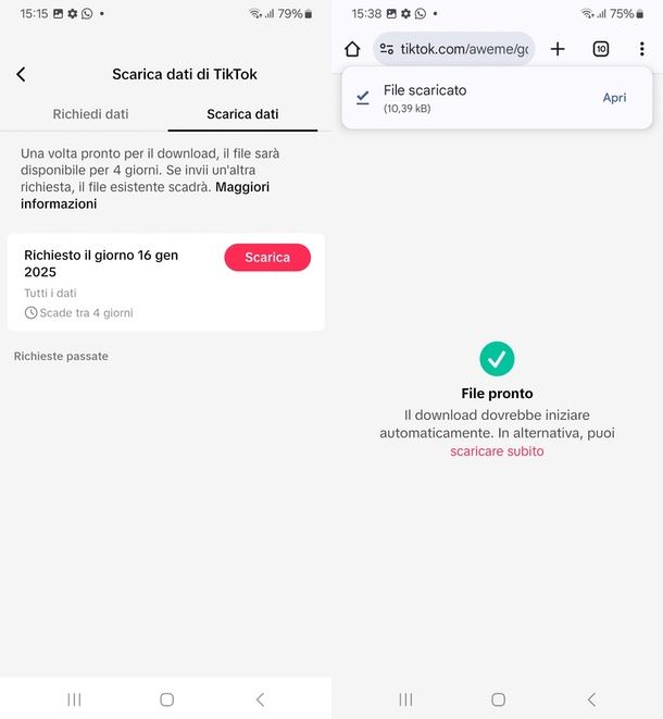 come vedere i messaggi eliminati su TikTok