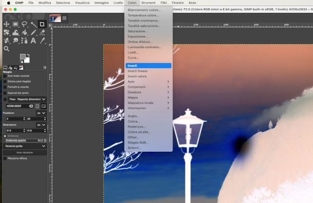 invertire i colori con GIMP