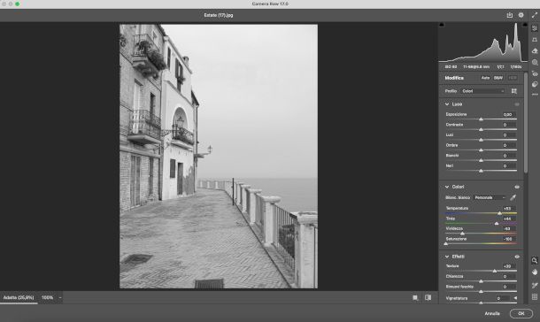 Filtro Camera Raw su Photoshop